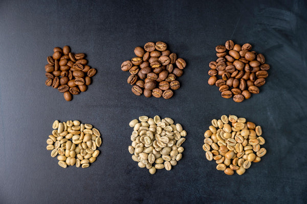 Different varieties of coffee beans side by side for comparison