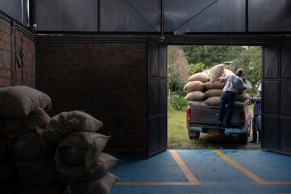 Colombian coffee farm in the Andean highlands