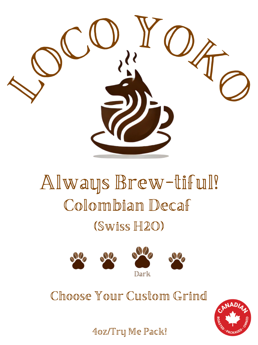 Toujours infusé ! - 113 g/Pack à essayer ! - Décaféiné colombien (eau suisse)