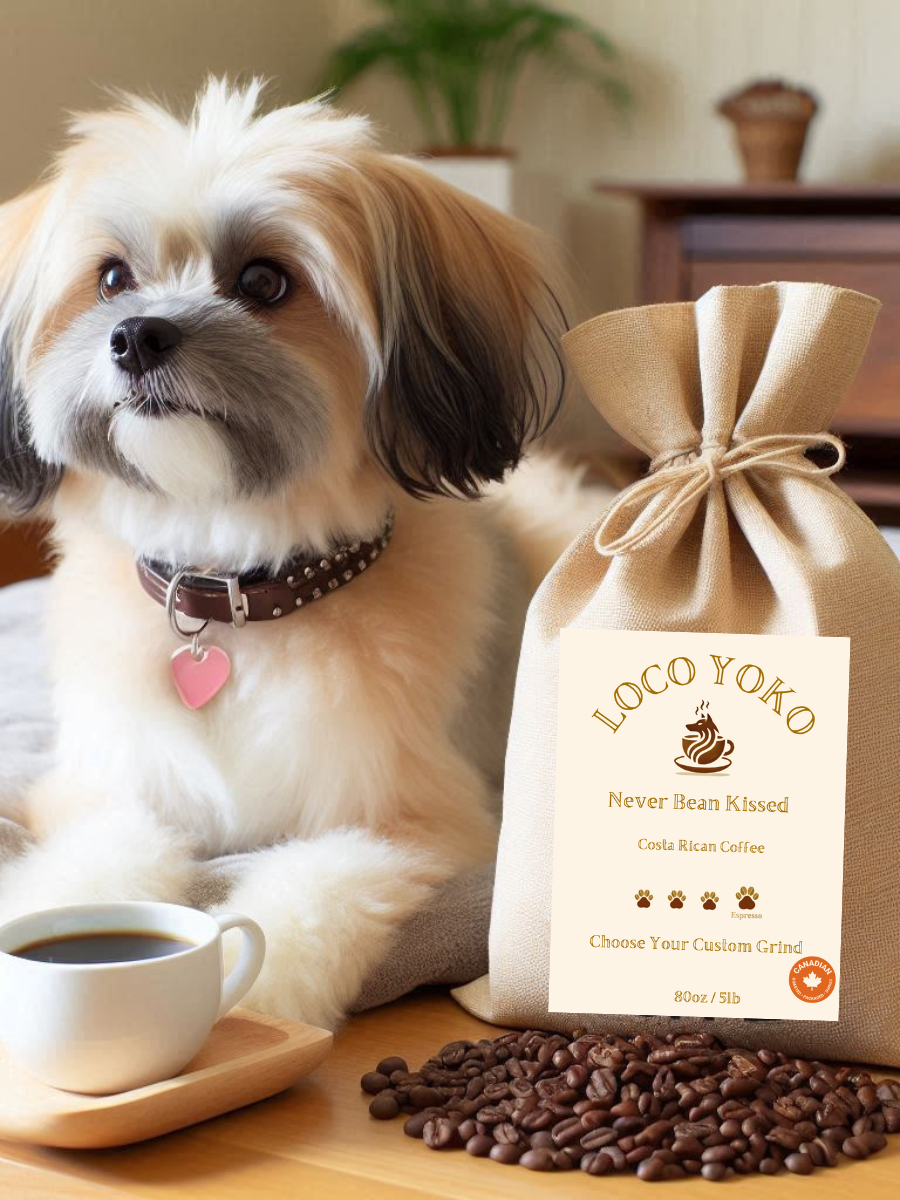 Café du Costa Rica - 2,25 kg (80 oz/5 lb)