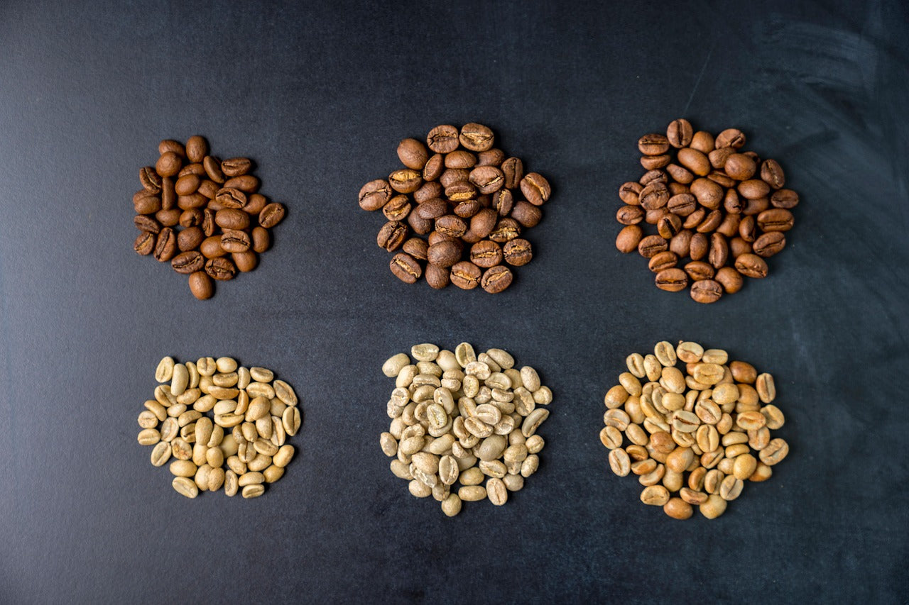 Different varieties of coffee beans side by side for comparison