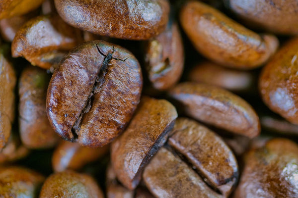Hands holding freshly harvested African coffee beans