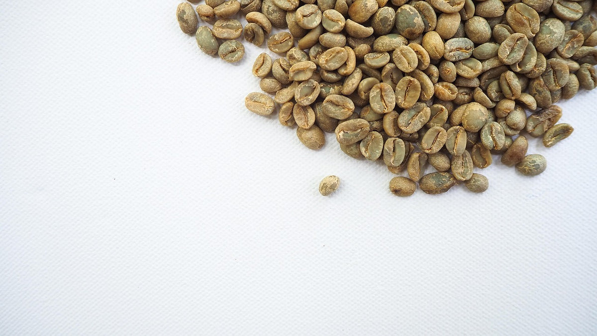 How to Brew Green (Unroasted) Coffee: Ratio, Grind and Method