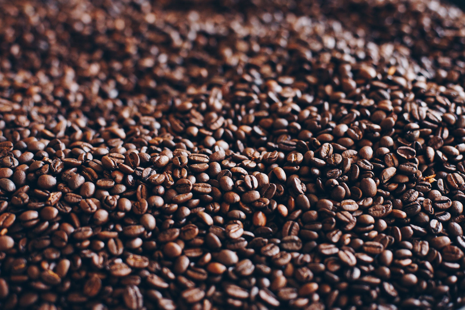 How Long Does Coffee Stay Fresh? Roast Date vs. Best-Before