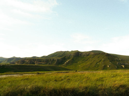 Scenic green hills of an Indonesian coffee-growing region
