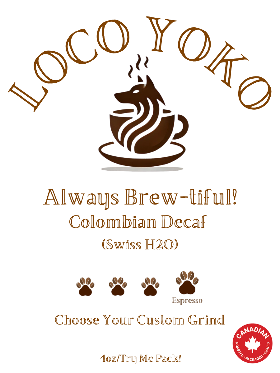 Toujours infusé ! - 113 g/Pack à essayer ! - Décaféiné colombien (eau suisse)
