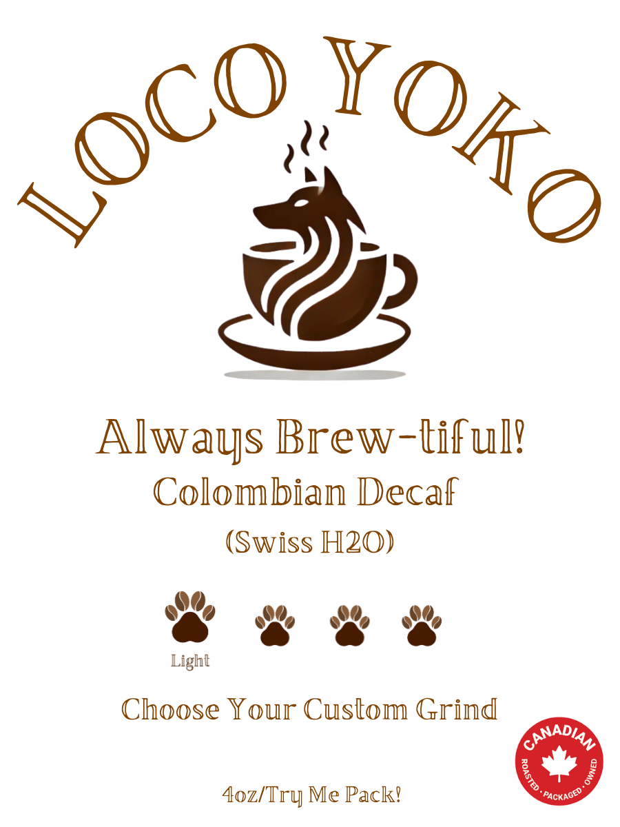 Toujours infusé ! - 113 g/Pack à essayer ! - Décaféiné colombien (eau suisse)