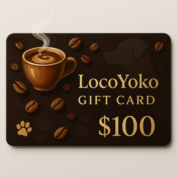 LocoYoko Gift Card featuring company branding and design.