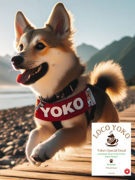 Yoko's Special Decaf - Colombian Decaf Green Coffee (Swiss Water)