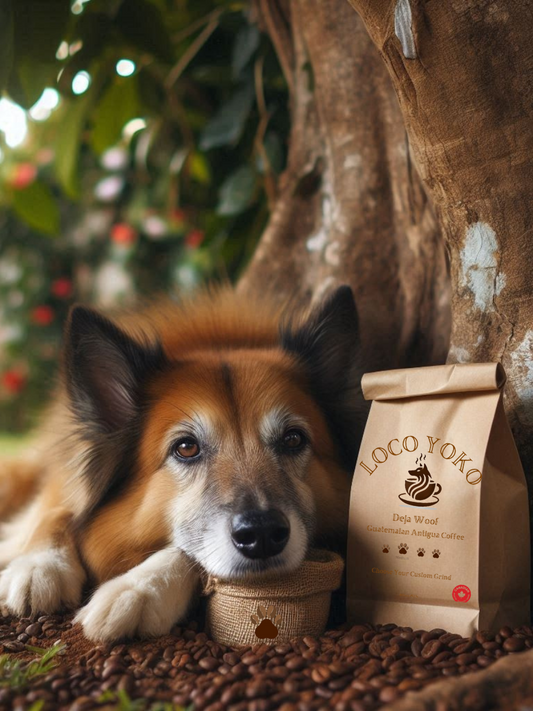 Déjà Woof - 113 g/Pack à essayer ! - Café guatémaltèque d'Antigua