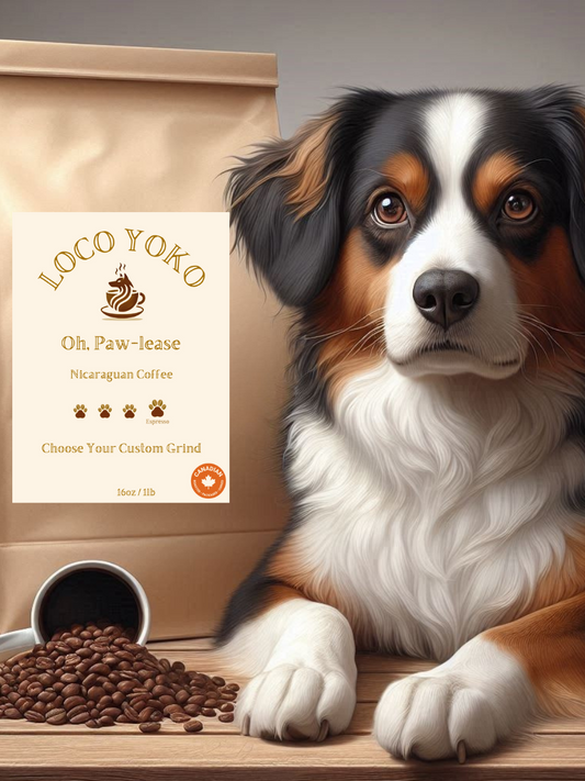 Oh, Paw-lease - Nicaraguan Coffee - 4oz/0.25lb