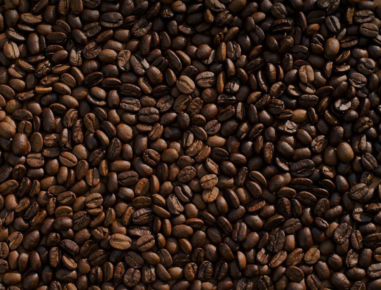 Freshly roasted coffee beans, close up