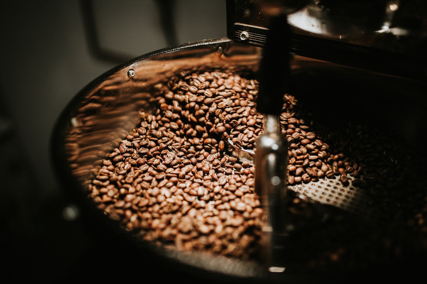 Fresh coffee beans roasting in a drum roaster
